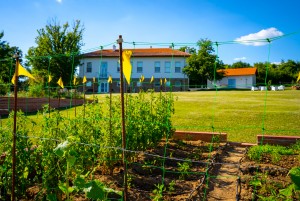 Dieci Boutique Restaurant as Bulgaria’s Leading Fine-Dining Destination