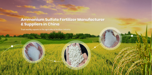 Leading Ammonium Sulfate Fertilizer Manufacturer and Suppliers in China