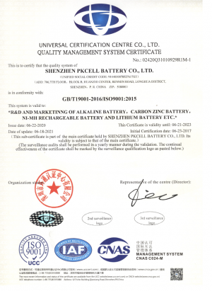 Certificate - 2