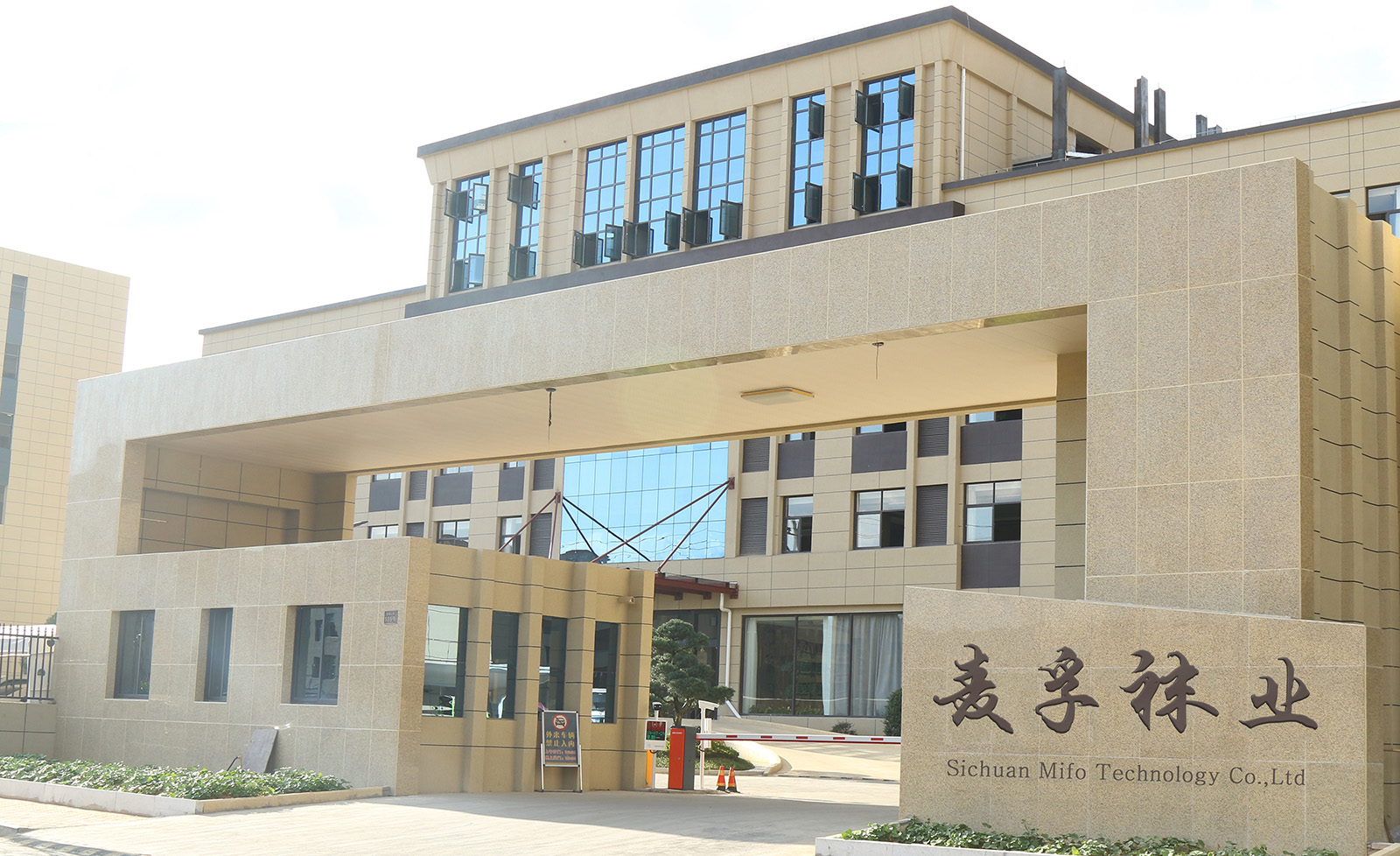 China Running Sock Factory 1 China Running Sock Factory 1