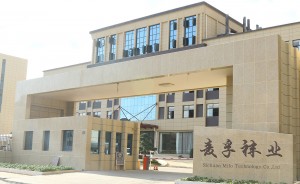 China Running Sock Factory 1