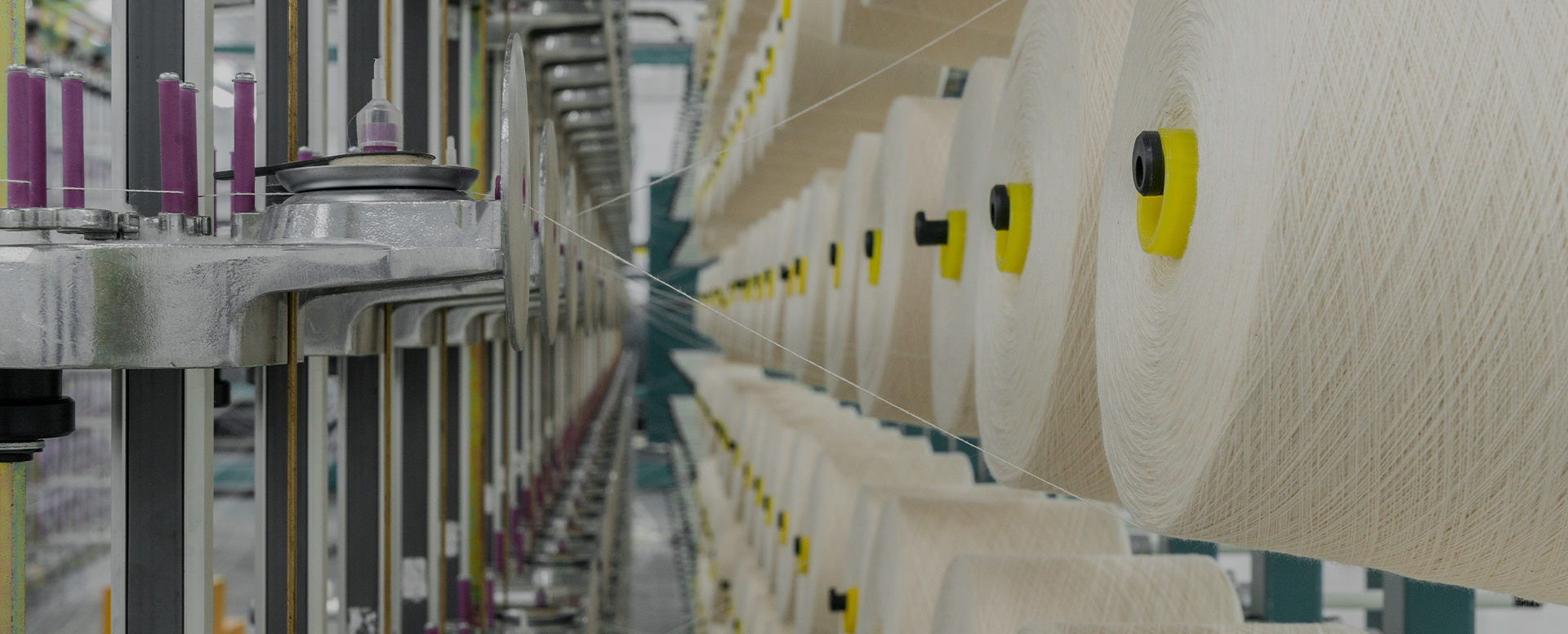 China Anti Slip Socks Manufacturer 1 China Anti Slip Socks Manufacturer 1