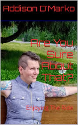 The final book in the trilogy
