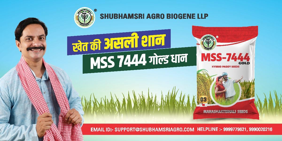 Mahashaktishali seeds hybrid paddy Mahashaktishali seeds hybrid paddy