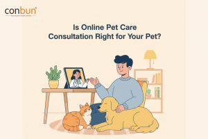 Conbun Online Vet Consultation App
