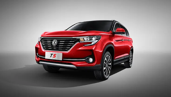 Dongfeng Forthing Vehicle Models