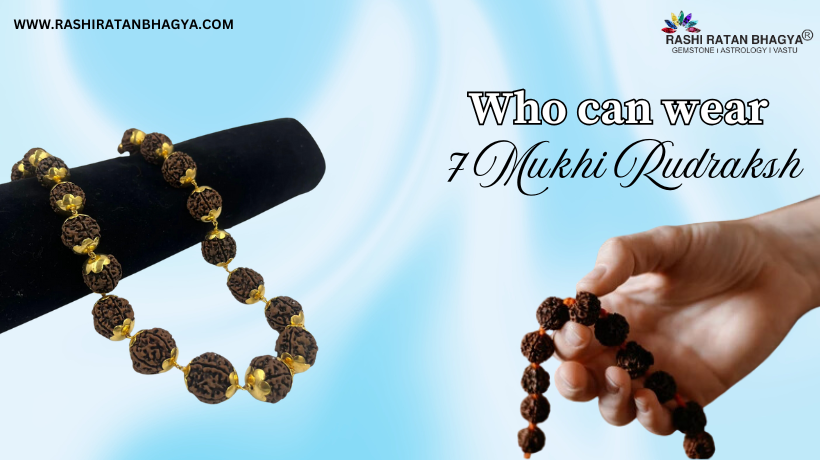 RashiRatanBhagya introduces a sacred 7 Mukhi Rudraksha collection for prosperity and balance.