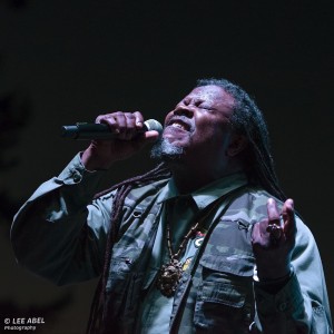 Reggae On The River Crowd by Lee Abel