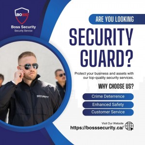 security companies winnipeg