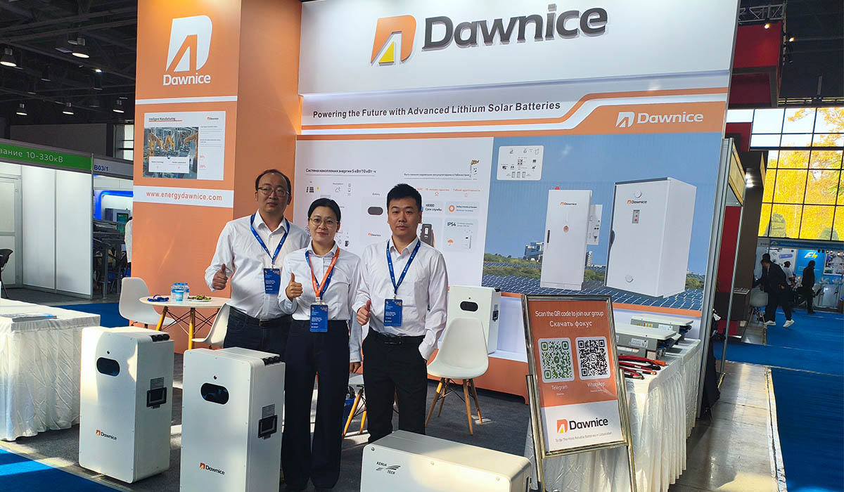 China Leading Energy Storage Battery Manufacturer 1