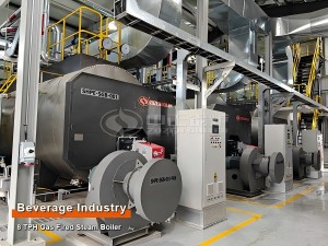 gas fired steam boilers