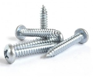 Self tapping Screws Factory