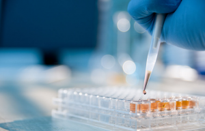 High Performance Sustainable Endotoxin Testing Services