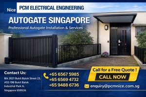 autogate singapore