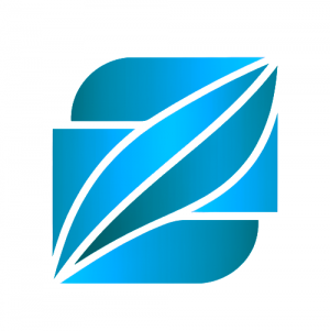 Roscommon Systems Logo