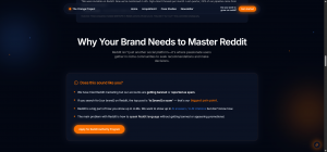 The Orange Project - Why Your Brand Matters on reddit section