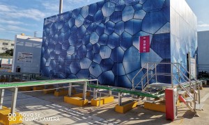 Integrated Hydrogen Production