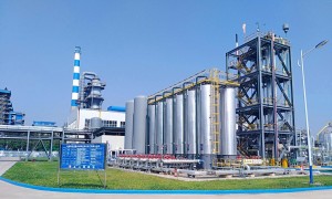Hydrogen Production Plant Supplier