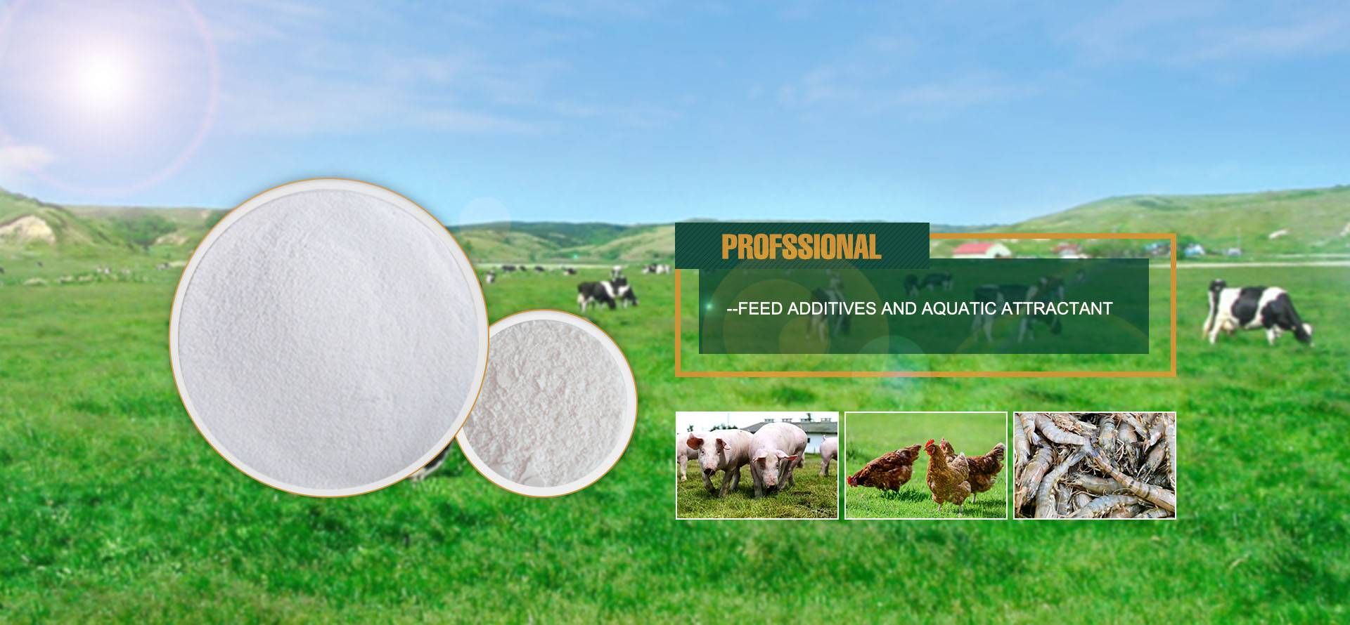 China Top Animal Feed Additives Manufacturer