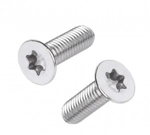 OEM High Quality Torx Screws