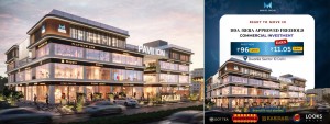 maxvel pavilion dwarka