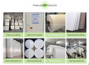 Global Leading Household Paper Supplier