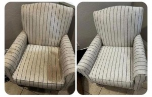 Local Cleaning Services Sets the Standard for Carpet & Upholstery Cleaning in Los Angeles, CA