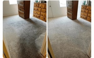 Local Cleaning Services Sets the Standard for Carpet & Upholstery Cleaning in Los Angeles, CA