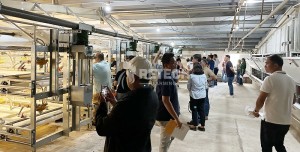 Steps to Start Your Poultry Farm Business