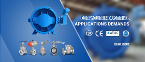 China Leading Gate Valve Manufacturer