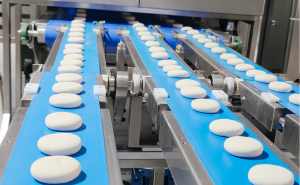 For mid capacity plants models such as the CPE 650 and CPE 450 apply the same forming principles on 