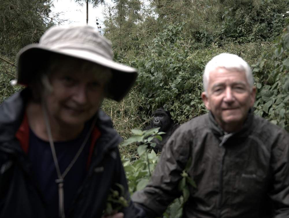 Getting closer Gorillas