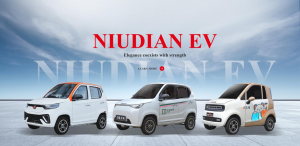 Global Leading Electric Car Supplier