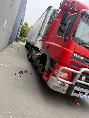 WhatsApp Image 2026 02 04 at 10 44 19