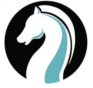 Chesshir Stone & Rock Supply Logo