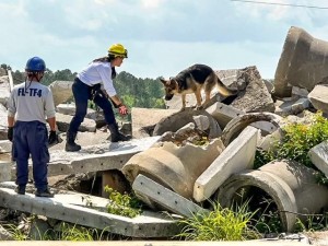 Gabrielle Franze, Redline K9 Training, Florida