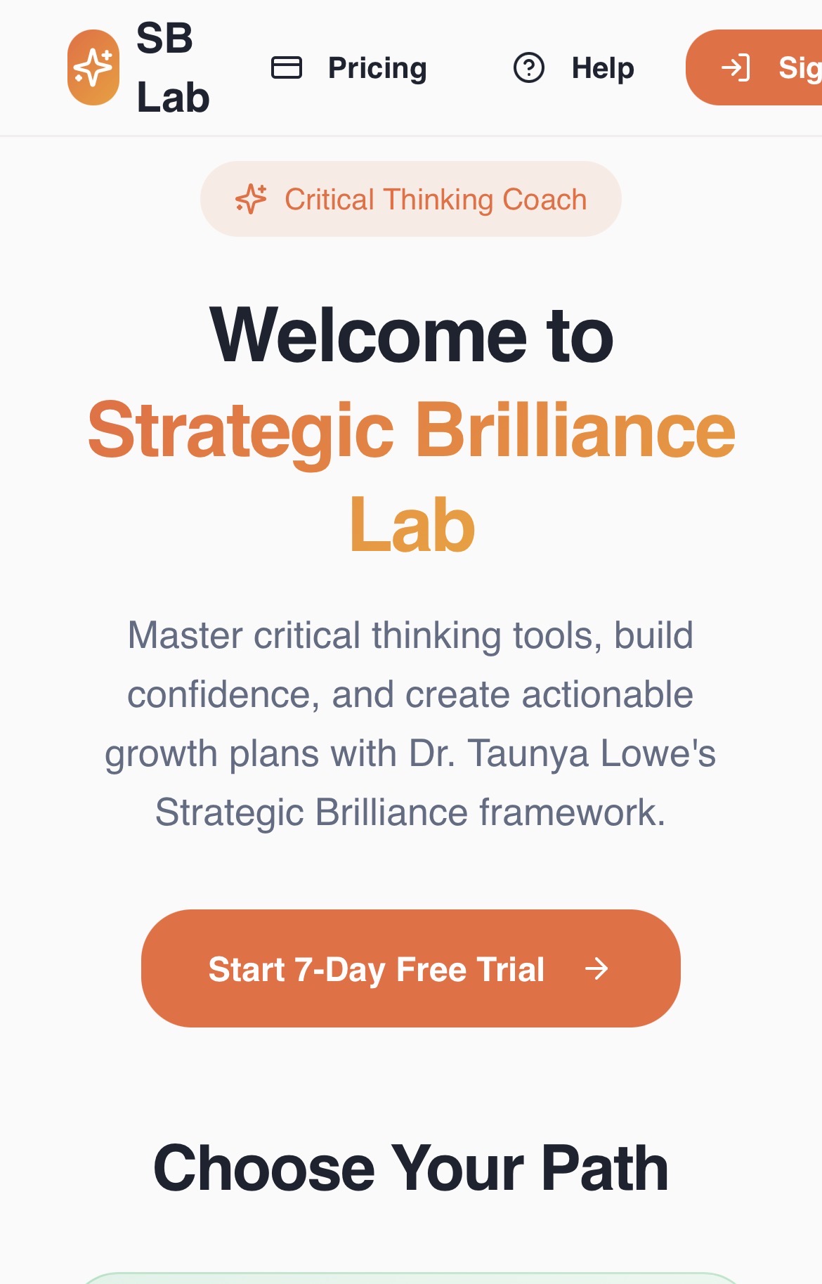 Strategic Brilliance Lab Home page 