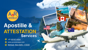 ANR Overseas services
