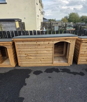 Dog Kennels Dungannon