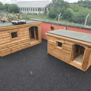 Dog Kennels Monaghan