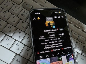 Namaemitei_shorts’ viral content portfolio and engagement metrics displayed on a smartphone.