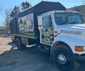 Tino s Tree Service VA
