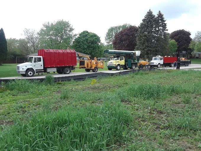 Tree – Snow Removal Services Celebrates 15 Years of Excellence in Tree Care and Snow Removal in Milwaukee County