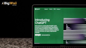 Generative Engine Optimisation at Big Wall Digital