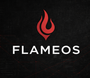 flameos logo primary black jpg