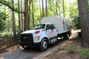 tree service acworth ga