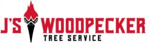 WoodpeckerTreeService logo