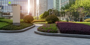 Commercial Landscaping Contractors Pr Image Creation