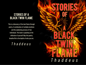 Story of a Black Twins