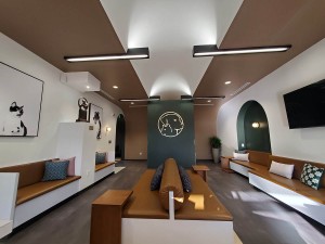 vet clinic fear free calm waiting space